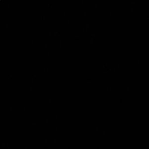 Meet your Posher, Anabel